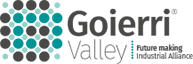 Goierri Valley - Future Making · Industrial Alliance